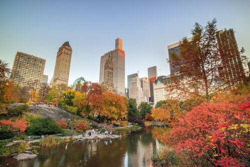 Central Park à l'automne