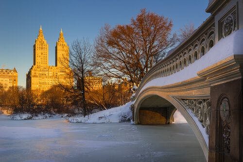 Central Park en hiver