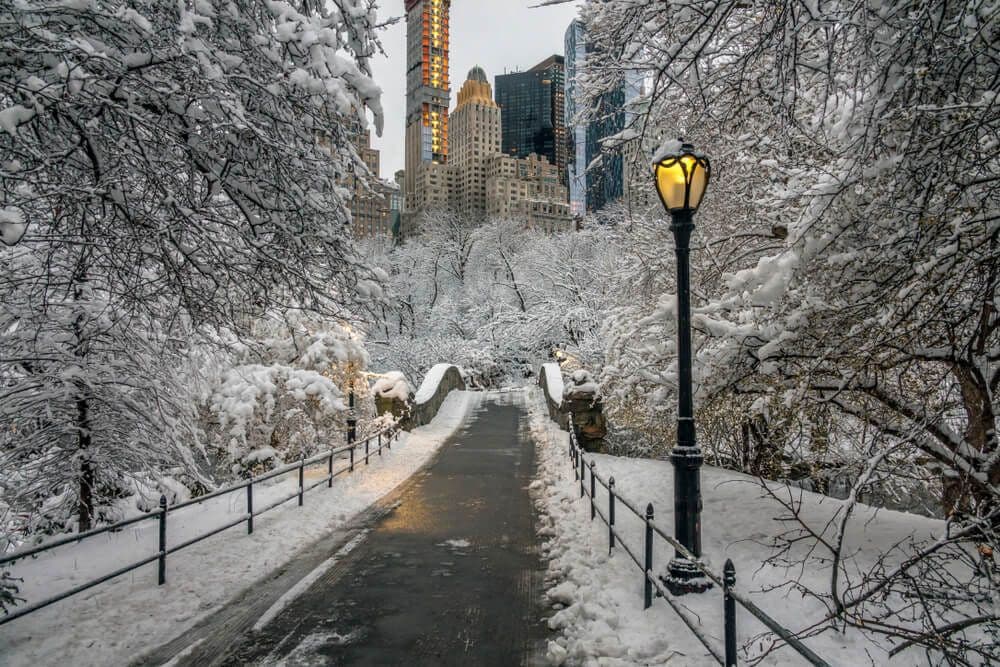 Central Park en hiver