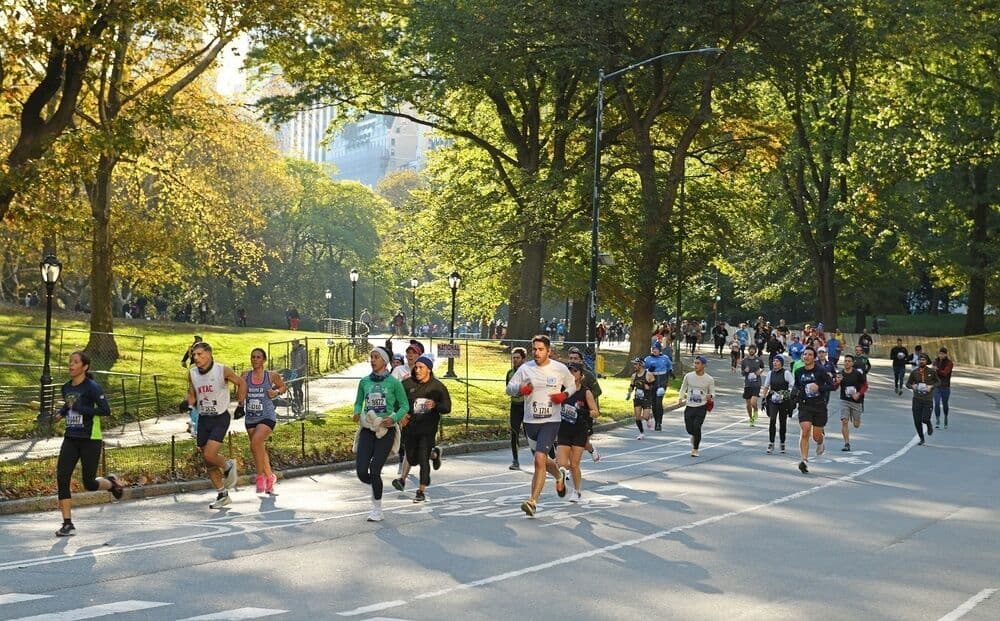 Le marathon de New York, Central Park