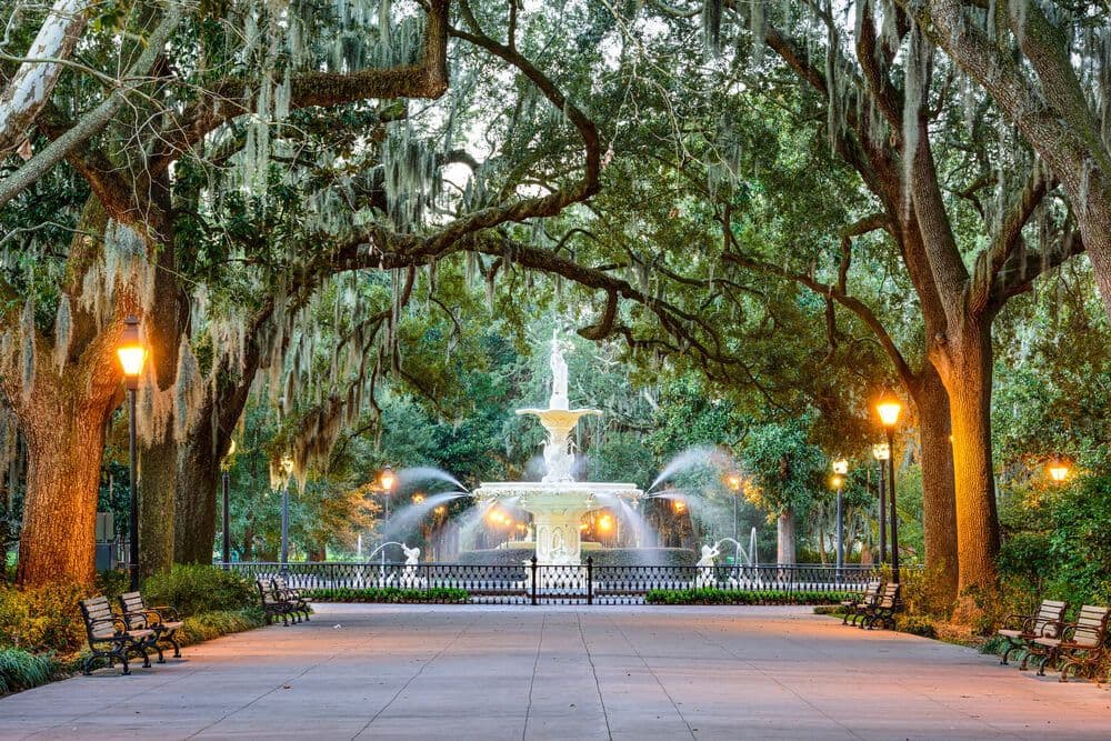 Image de Visiter Savannah