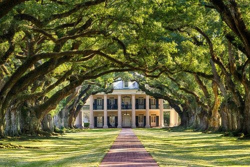 La plantation d'Oak Alley