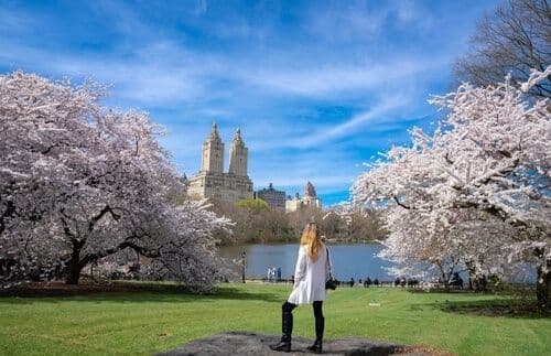 Le printemps à New York