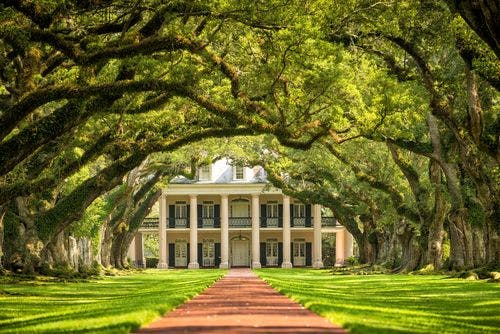 Oak Alley Plantation, Louisiane