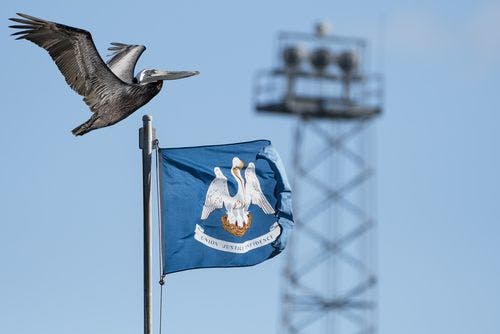 Le drapeau de l'Etat de la Louisiane