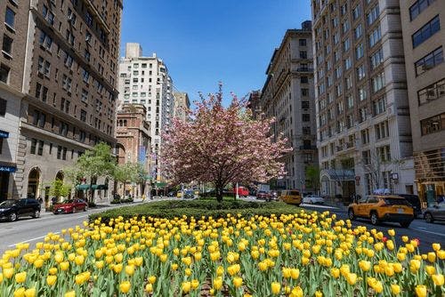 Image de Le quartier à la Gossip Girl, l'Upper East Side !