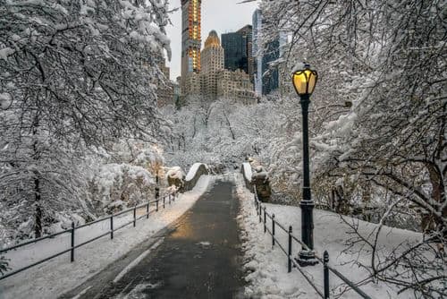 Image de Quelle est la meilleure période pour visiter New York en famille ? 