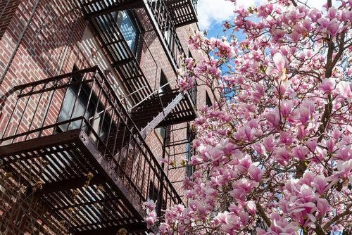 Image de Que faire dans le Queens à New York ?