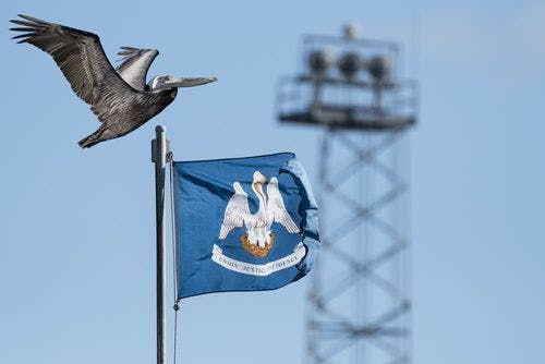 Image de Histoire de la Louisiane : voyage dans le temps